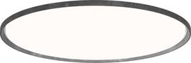 Louis Poulsen Šviestuvas Slim Round Recessed LED 3000K su opaliniu difuzoriumi su Dali apšvietimo valdymo sistema aluminio spalvos 44 cm
