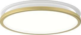 Louis Poulsen Šviestuvas Munkegaard LED 3000K su Dali apšvietimo valdymo sistema žalvarinės spalvos 26,5 cm
