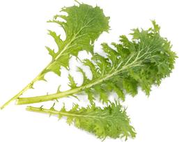 Veritable Sėklos Lingot Azijos skoniai, garstyčios wasabi