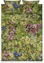 Foonka Patalynė Hayka vynuogynas iš dviejų dalių su 2 pagalvių užvalkalais 240 x 220 cm