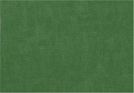 Guzzini Stalo kilimėlis Fabric dviejų pusių žalios spalvos 43 x 30 cm