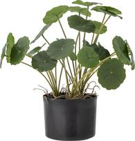 Bloomingville Dirbtinė kambarinė gėlė Bloomingville paprastasis vėdrynas S