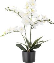 Bloomingville Dirbtinė kambarinė gėlė Bloomingville orchidėja L
