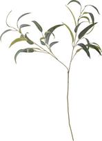 Bloomingville Dirbtinė gėlė Bloomingville eukaliptas žalios spalvos 101 cm