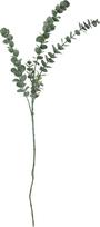 Bloomingville Dirbtinė gėlė Bloomingville eukaliptas žalios spalvos 76 cm