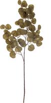 Bloomingville Dirbtinė gėlė Bloomingville eukaliptas rudos spalvos 86 cm