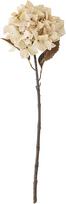 Bloomingville Dirbtinė gėlė Bloomingville hortenzija baltos spalvos 65 cm