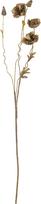 Bloomingville Dirbtinė gėlė Bloomingville Poppy rudos spalvos