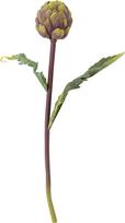 Bloomingville Dirbtinė gėlė Bloomingville sidabro pinigai augalas violetinės spalvos 54 cm