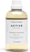 Steamery Skalbiklis Active, 750 ml
