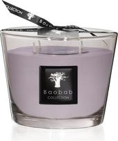 Baobab Collection Kvapioji žvakė All Seasons White Rhino 10 cm