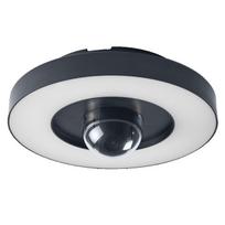 Sieninis lauko šviestuvas Osram Smart+ WIFI, 22W, LED, IP44, tamsiai pilka sp., 28 cm x 11.2 cm