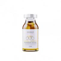 Korban Professional Royal Honey Power Dose Plaukų atstatymo procedūra, 13ml