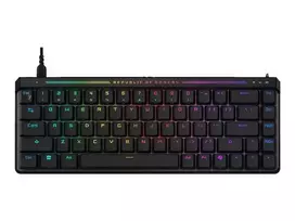 ASUS ROG FALCHION ACE HFX Keyboard
