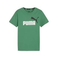 Marškinėliai berniukams Puma 586985*76, žali, 164 cm
