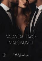 Valanda tavo malonumui - Tyla Audroje