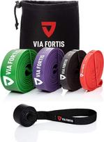 "VIA FORTIS Premium" pasipriešinimo juostos + pratybų vadovas ir krepšys - pasipriešinimo juostos / "Pull-Up" pagalba / fitneso juosta / treniruočių juostos fitnesui ir jėgos treniruotėms