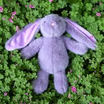 Nini triušio pliušinis žaislas Ilgaausio triušio pliušinis žaislas Lėlė Minkšta ir miela skudurėlio lėlė Vaikų gimtadienio dovana Approx. 30cm/160g