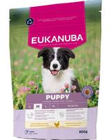 Eukanuba Puppy Medium Breeds su vištiena, 800 g