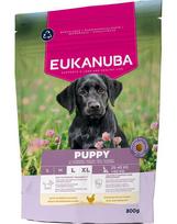 Eukanuba Puppy Large Breeds su vištiena, 800 g