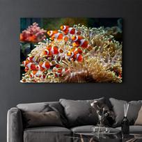 Reprodukcija SPR-1411 – Gyvūnų Motyvo Sienos Dekoras, 72x46 cm