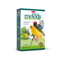 Sėklų mišinys paukščiams Padovan MelodyMix 300 g, 300 g