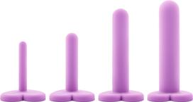 Blush Wellness 4 dalių plėtiklių rinkinys - Violetinė