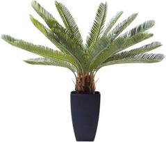 "Kare Cycas Tree Design" dekoratyvinis augalas, rudos/žalios spalvos, dirbtinis augalas, dirbtinė palmė, dekoracija, lengva priežiūra, vonios kambarys, miegamasis, virtuvė, svetainė, 80 x 42 x 22 cm (V x Š x G)