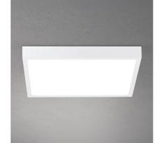 Orion - Dimeriuojamas lubinis LED šviestuvas DISC LED/30W/230V 2700/3000/4000K 39x39 cm baltas