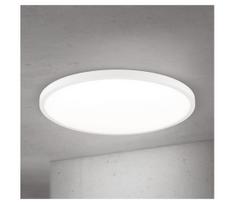 Orion - dimeriuojamas LED lubinis šviestuvas DISC LED/46W/230V 2700/3000/4000K skersmuo 60 cm baltas