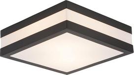 Lauko lubų šviestuvas "Lightbox" | 9 x 29 cm | 2 lempučių lauko sieninis ir lubų šviestuvas | skirtas terasai ar sodo nameliams | 2 x E27 lizdai | Pagamintas iš nerūdijančio plieno/plastiko, antracito/baltos spalvos