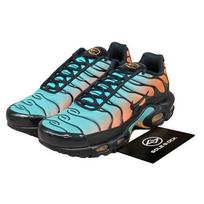 Nike Air Max Plus vyriški sportbačiai DM0032-022 EU 44 įvairiaspalvis