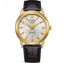 Citizen Eco-Drive AW0102-13AE vyriškas laikrodis, odinis, su data
