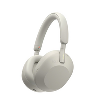 SONY WH-1000XM5 Headphones On the Ears Wireless, Silver