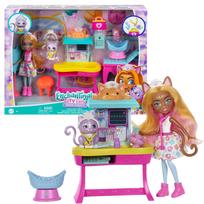 Enchantimals gydytojos - veterinarės rinkinys su lėle, HLH22
