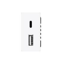 Greito krovimo lizdas FEELSPOT 1/2 USB+C Baltas