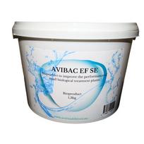 Bakterijos Avibac EF SE nuotekų šuliniams ir individualiems nuotekų valymo įrenginiams, 1,2 kg - 12 mėn.
