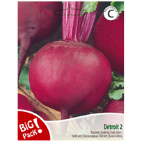 Raudonųjų burokėlių sėklos DETROIT, 10 g