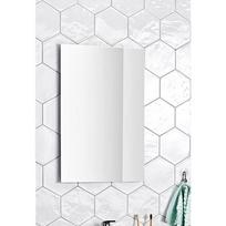 Veidrodis ALTERNA Milano 60x80