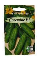 Agurkai Corentine F1 Agrimatco