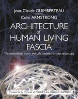 Architecture of Human Living Fascia, The Extracellular Matrix and Cells Revealed Through Endoscopy