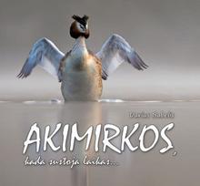 Akimirkos, kada sustoja laikas... - Darius Babelis