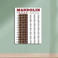 Mandolinos akordų lentelės plakatas, Mandolinos informacinis plakatas, 22,05''x15,75'' Sieninis plakatas, Natų pirštų padėjimas