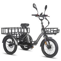 Elektrinis krovininis dviratis FAFREES F20 Mate 20  750W variklis Ebike Sulankstomas Didžiausias greitis 30km/h Dvigubas hidraulinis stabdys Didžiausias nuotolis 115km Keliamoji galia 180KG Luxury pilka