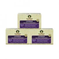 Livomap rinkinys (3 x 100 tab., 500 mg), Livomap rinkinys, Maharishi Ayurveda 3 x 100 tab, 500 mg