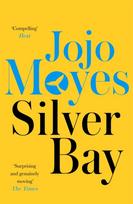 Silver Bay, 'Surprising and genuinely moving' - The Times