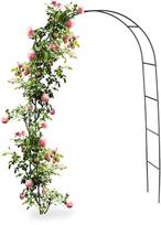 Kodustaar Metalinis rožių arkinis treliažas 240 cm