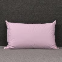 Viešbučio baltų žąsų plunksnų pagalvė namams ir bendrabučiui 48*74cm - Low Pillow 1000g mėlyna