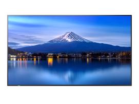 P506 50IN LFD UHD 700CD/M2 D-LE BACKLIGHT 24/7 PROOF SDM SLOT CM