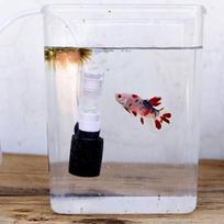 Tylus mini vandens pneumatinis filtras žuvų dubens akvariumui 83#